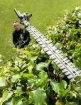 PictureAltAttribute - 20100063-4-jpg